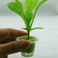 thumbnail image 2 of MYG 20 Pcs Pot en Filet Panier Hydroponique Éponge de Culture Aéroponique, 2 of 10