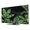 Black, Green, Emerald, variant on Tropical Plants TV Cover for 24 Inch Screen,Stretch Fabric Dustproof TV Display Protector,Green Summer Botanical Leaves Branches Elastic Slipcover Monitor Cover for Indoor Computer 20.9"x11.8"
