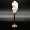 thumbnail image 4 of kurtrusly Earring Display Stand Human Ear Model Organizer Holder Showcase Stud Jewelry Left Ear White Height: 18cm 1Set, 4 of 6