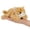 Orange Cat, variant on NCQ Cute Orange Cat Stuffed Animal Plush Toy - Weighted & Soft, Cute Small Plushie Gift for Kids, Girls, Boys, Adults. 8 inches