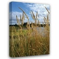 thumbnail image 1 of Brian Moore 28x40 Gallery Wrapped Canvas Wall Art Titled - Through the Grass I, 1 of 4