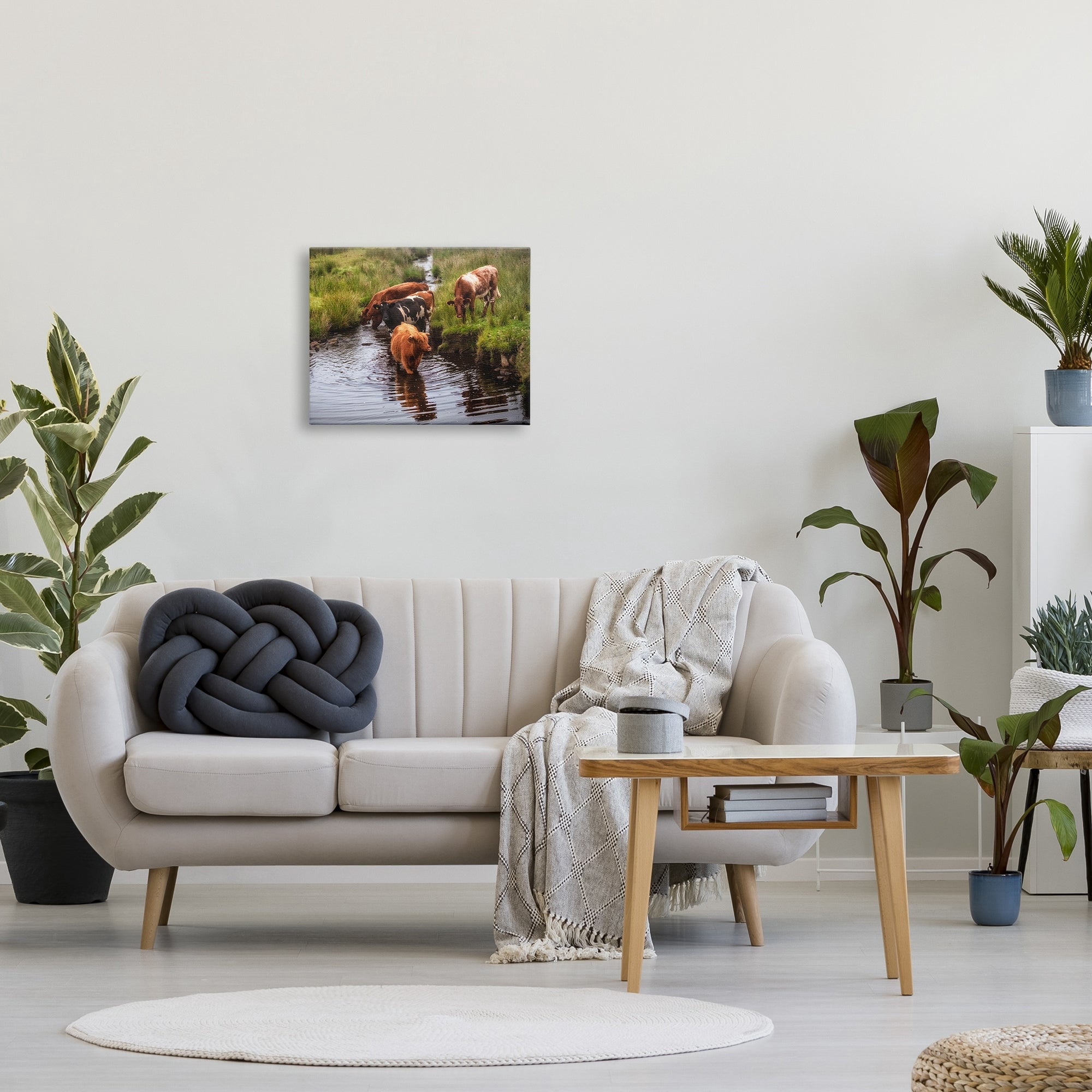 Stupell Industries Rural Cattle Enjoying Stream Water Between Grassland Photograph Gallery Wrapped Canvas Print Wall Art, Design by James Dobson