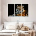 thumbnail image 2 of Elephant Stock Tiger Snapshot Wall Art - Horizontal Multi Panel Canvas - Living Room Wall Decor - Animal Multi Panel - Black And Brown Decor - 45" x 28", 2 of 8