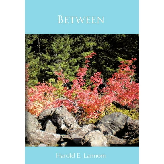 Between (Hardcover)
