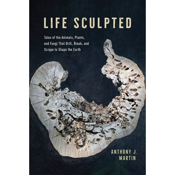 Life Sculpted: Tales of the Animals, Plants, and Fungi That Drill, Break, and Scrape to Shape the Earth, (Hardcover)
