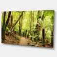 thumbnail image 2 of Paysage Panorama de la Forêt Tropicale - Impression sur Toile de Photographie, 2 of 3