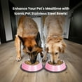 thumbnail image 6 of Iconic Pet Color Splash Stripe Non-Skid Pet Bowl 64 Oz, Pink, 6 of 8