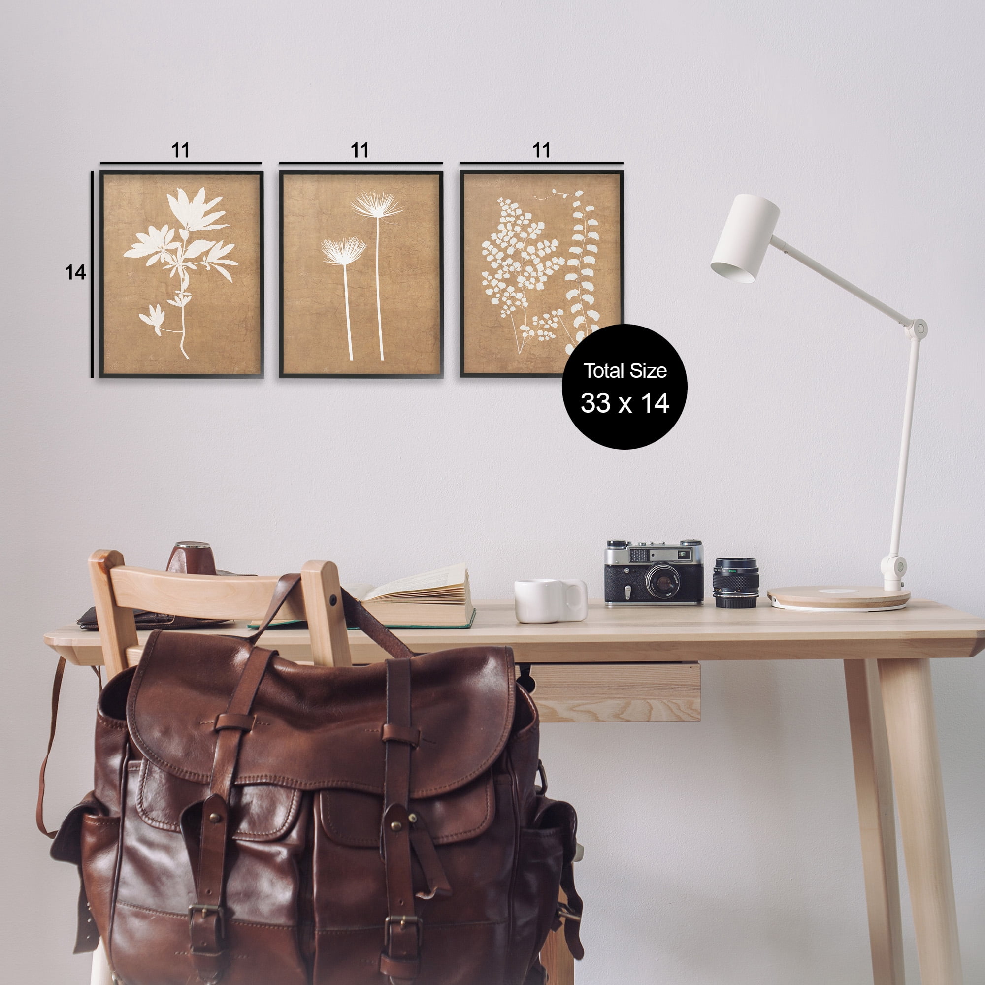 Stupell Industries Nature Botanical Silhouettes Botanical & Floral Painting Black Framed Art Print Wall Art, 11 x 14, Set of 3