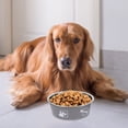thumbnail image 4 of QUMIIRITY 2Ud Para Perro En Inoxidable Antideslizantes Para Uso En Cocina Y Fácil Limpieza, 4 of 6