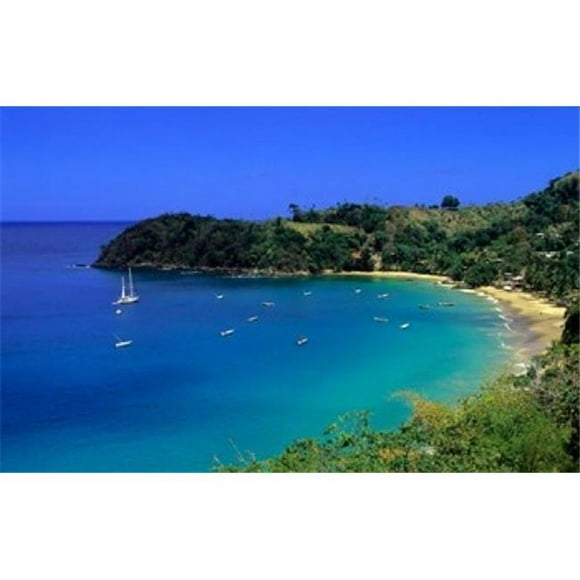 Danita Delimont PDDCA40MDE0005B Quiet Cove Tobago Caribbean Poster Print by Michael Defreitas, 36 x 24