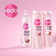 thumbnail image 4 of Shampoo Sedal Shampoo 620 ml, 4 of 6
