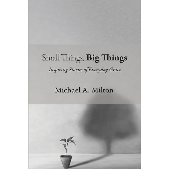 Small Things, Big Things, (Paperback)