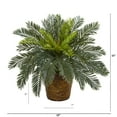 thumbnail image 3 of Nearly Natural 15" Plastic/Polyester Green Cycas Artificial Plant in Basket, 3 of 3