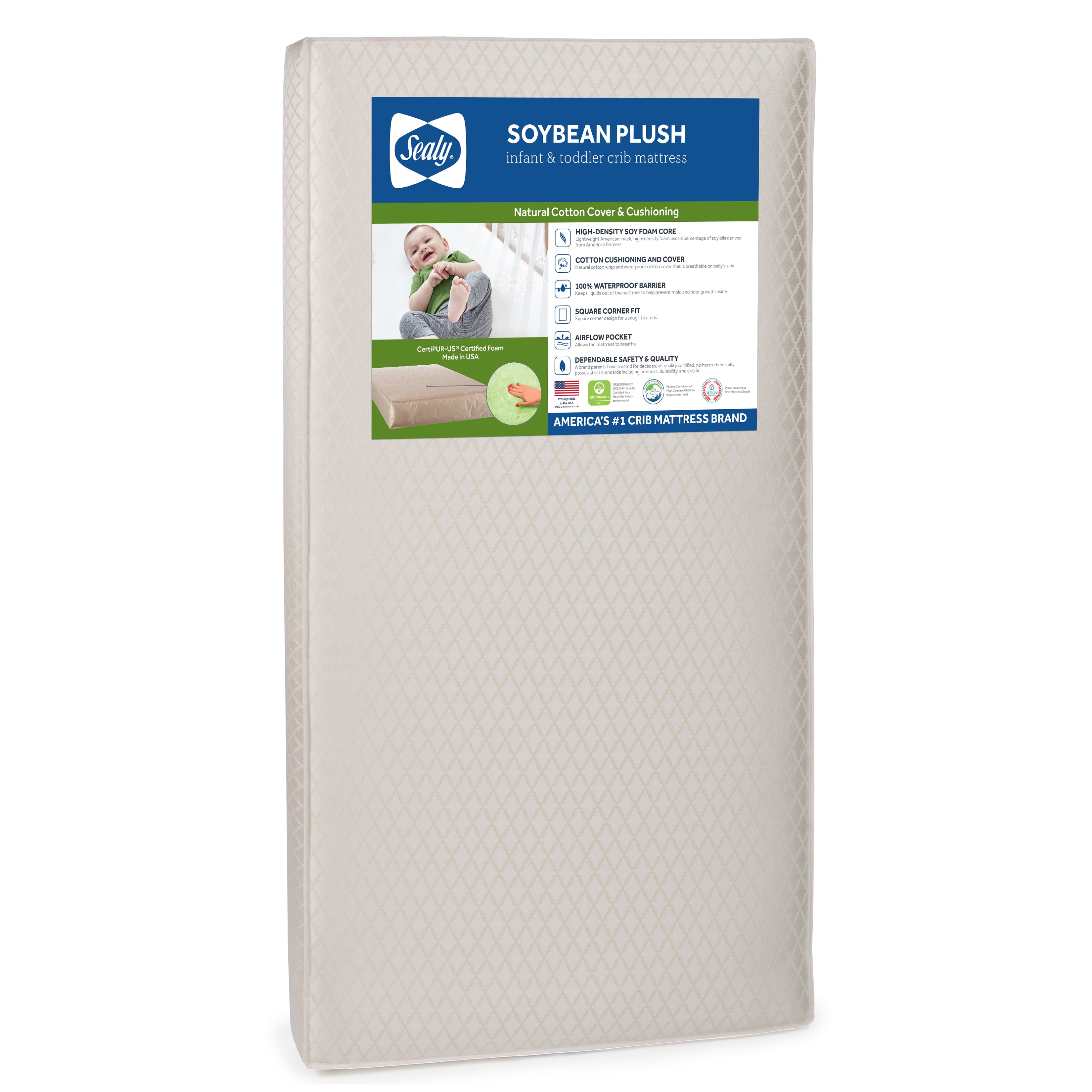 Sealy soybean mattress deals