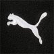 thumbnail image 4 of Guantes Invierno Puma Teamliga 21 Winter Negro Running Negro L/xl, 4 of 6