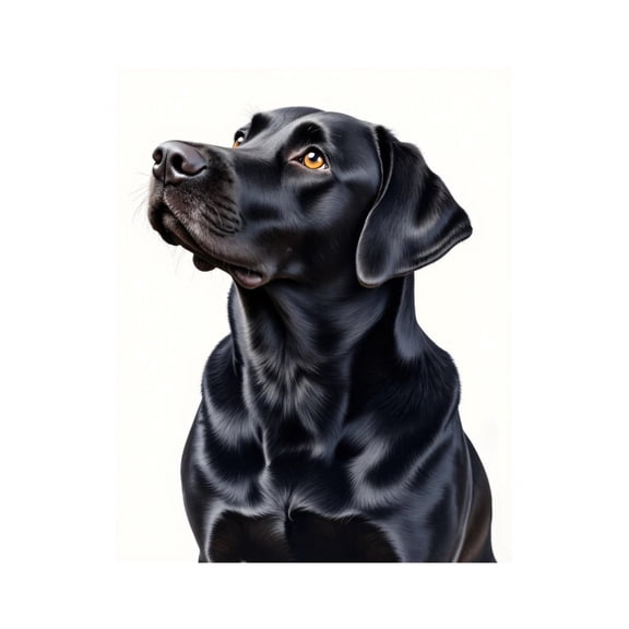 Paint by Numbers Kit for Adults, Black Labrador Portrait Art Paint by Numbers, Easy Paint by Numbers Kit for Adults Beginner, DIY Adult Paint by Number Kits on Canvas, 12x16in Home Decor
