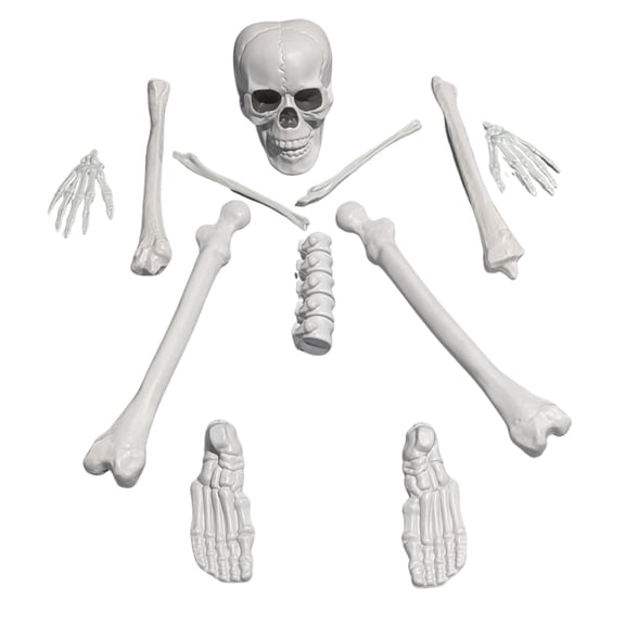 Faux Bag of Bones, 12 Pieces, Halloween by Way To Celebrate