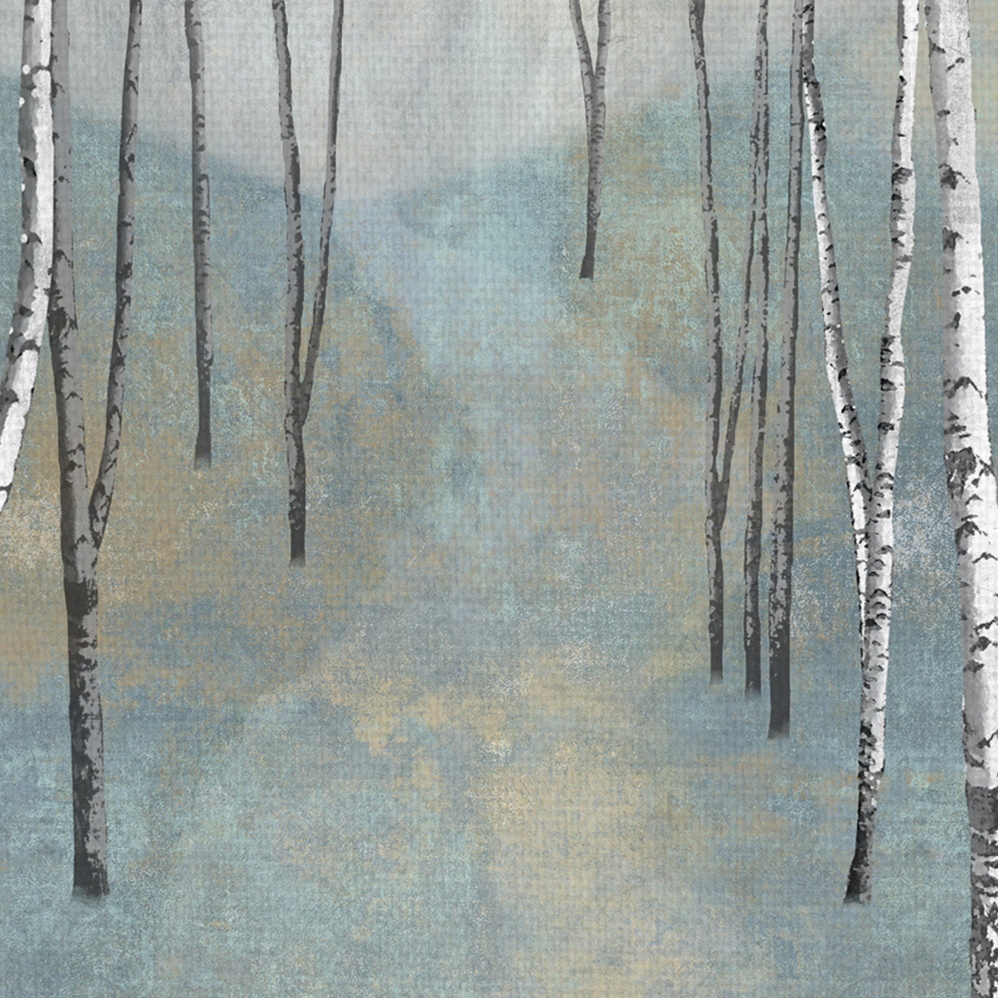 Silver Trees Path I by Tania Bello Birch Trees Canvas Art