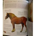 thumbnail image 4 of Caballos Razas Y Orígenes Lexus Editores Libro Ilustrado, 4 of 4