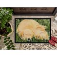 thumbnail image 3 of Carolines Treasures SS8838JMAT Paillasson Golden Retriever 24 x 36 Po., 3 of 4