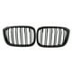 thumbnail image 1 of Parrilla Reemplazo negro de la parrilla de la parrilla del riñón del frente del listón doble para BM TOMSHOO Parrilla, 1 of 7