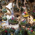 thumbnail image 5 of Unique Bargains Terrarium Air Plant Planter, 4.8 Inch High Borosilicate Glass Drop Shaped Display Decorations with Cork Plug, Clear, 5 of 5