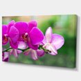 thumbnail image 2 of Belles Orchidées sur Fond Vert - Grande Impression sur Toile Florale, 2 of 3