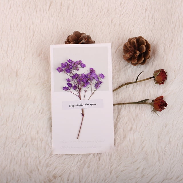 Carte de Vœux Fleur Séchée Charme de Noël Design Festif Idée Naturelle pour les Fêtes