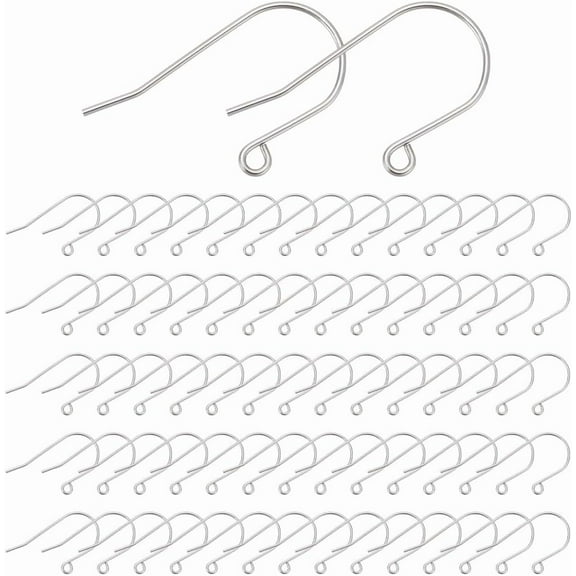 80Pcs Stainless Steel Fish Earrings Hooks Metal French Earring Hook with Horizontal Loop Ear Wires Drop Earring Finding Hole 2mm for Jewelry Making DIY Earrings Findings