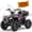 Flag, variant on HOVERHEART 40 cc Trail Runner Ride-On Buggy – Dual-Speed Off-Roader, Parent Speed Key, 10-15.5 mph, Flag