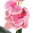 thumbnail image 5 of Planta artificial en maceta de orquídea para decoración de mesa, 5 of 5