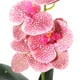 thumbnail image 3 of WORGEOUS Tapla de orquídeas de flor de flor artificial decoración de plantas en macetas artificiales, 3 of 8