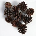 thumbnail image 4 of 10 Piezas De Conos De Pino Natural, Adornos De Mesa Secos, Decoraciones Navideñas Para El Hogar Sunnimix Conos de pino natural secados, 4 of 7