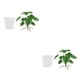 thumbnail image 2 of Planta falsa Injueey para interior o exterior vegetación Natural Monstera 2Conjunto, 2 of 6