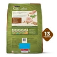 thumbnail image 6 of Purina Cat Chow Grain Free Chicken Natural Dry Cat Food, 13 lb, 6 of 10