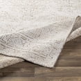 thumbnail image 4 of BoutiqueRugs Probus Traditional Area Rug - Medium Brown, Medium Gray, White - 4' x 6', 4 of 7