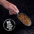 thumbnail image 3 of Crave High Protein Adult Dry Cat Food - Grain Free, Chicken, 3 of 5