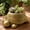 A Gold, variant on Turtle Succulent Planter Pot, Metallic Golden Decorative Resin Art Ornament, 1 Pack Cute Turtle Shaped Small Plant Holder, for Desktop Home Office Bedroom Living Room Decor Housewarming Gift