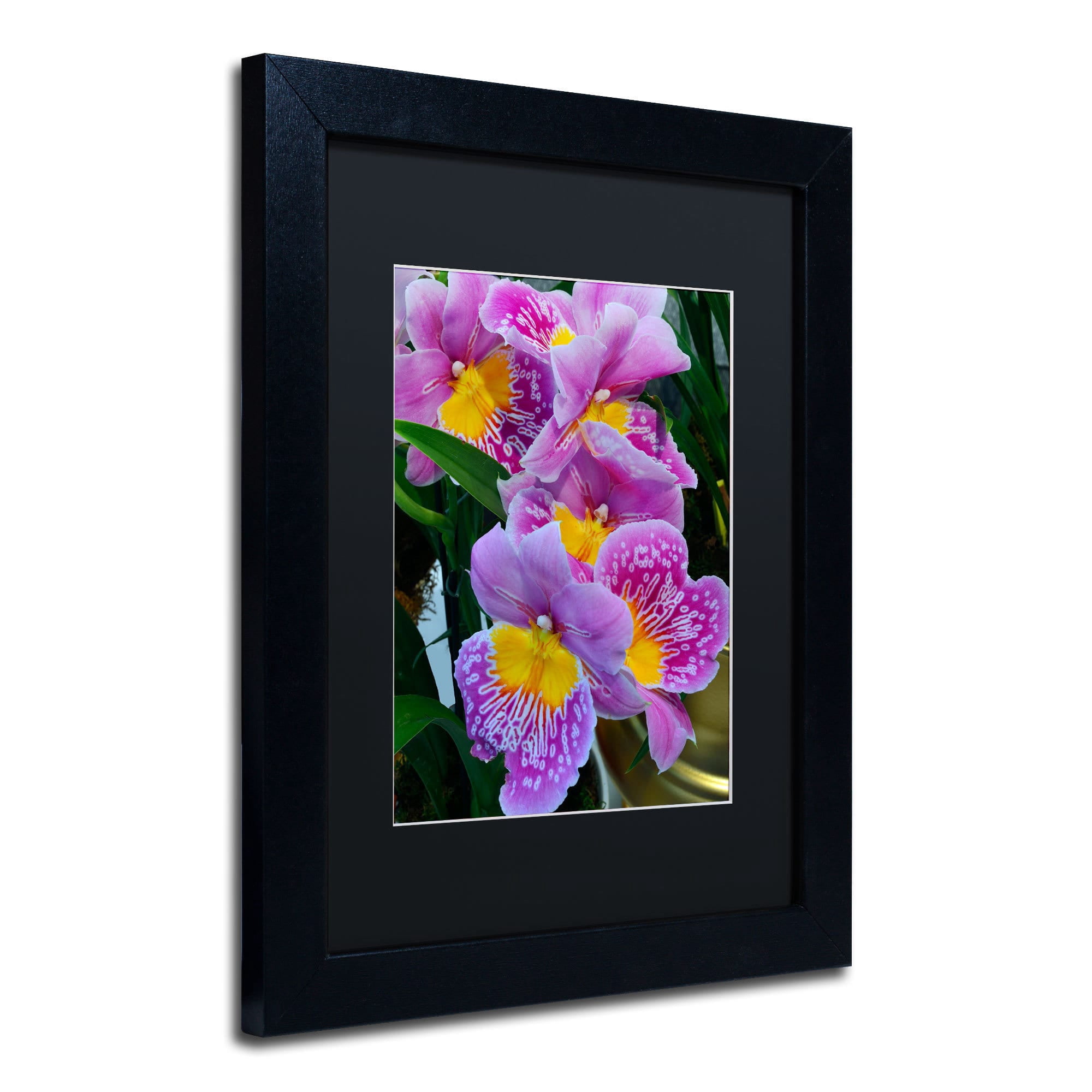 Trademark Fine Art "Happy Orchids" Canvas Art by Kurt Shaffer, Black Matte, Black Frame