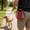 Red, variant on Cififendec Multifunctional Dog Training Treat Waist Bag, 3.93"×6.5", Waterproof Portable Puppy Snack Storage Pouch with Poop Bag Dispenser for Outdoor Walking