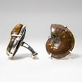 thumbnail image 5 of Genuine Opalaized Ammonite Sterling Silver Cufflinks, 5 of 5
