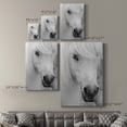 thumbnail image 4 of Island Pony I Premium Gallery Wrapped Canvas - Ready to Hang, 4 of 9