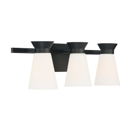 

Nuvo Lighting 60/7313 Caleta 3 Light 24 Wide Bathroom Vanity Light - Black