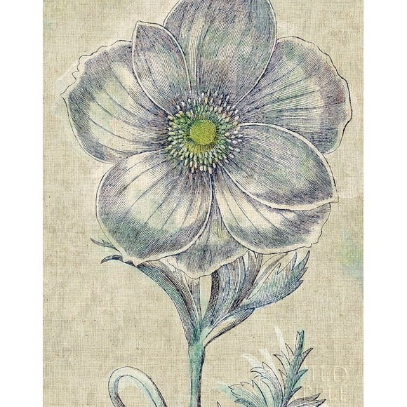 Belle Fleur Ii Crop Linen Poster Print by Sue Schlabach (22 x 28)