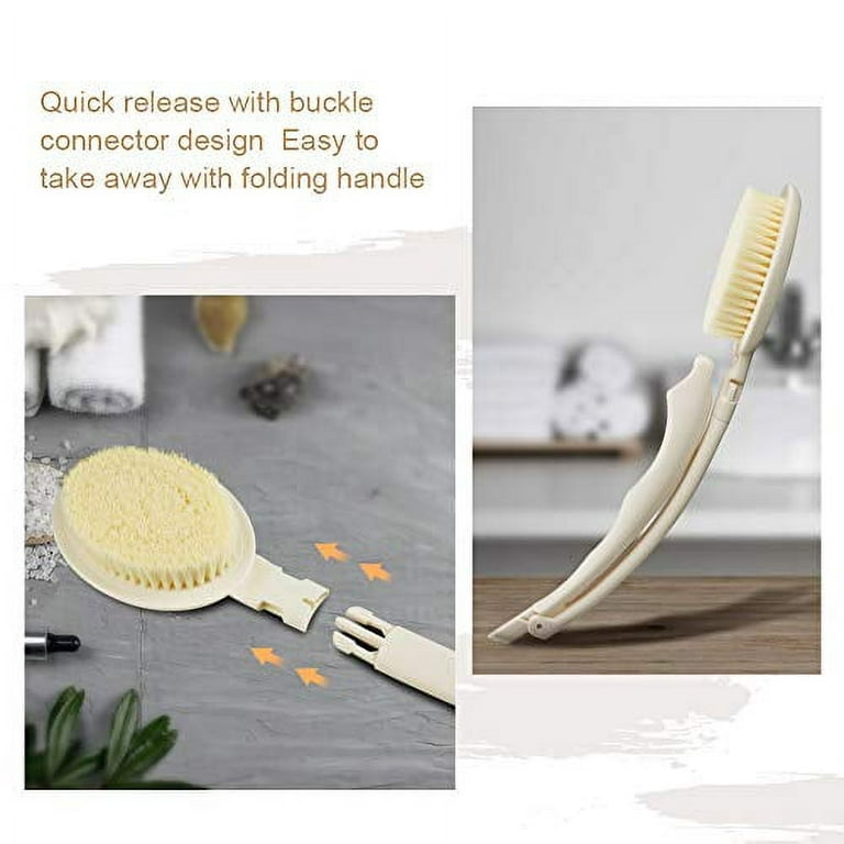 Body Brush Scrubber, Body Scrubber, Creaetive Body Brush Scrubber, Shower  Brush With Soap Dispenser, Body Brush, Shower Brush, Bath Accessories,  Bathroom Supplies Beach Vacation Essentials - Temu