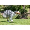 thumbnail image 2 of Chuckit! Ultra Fetch Stick Durable Rubber Interactive Outdoor Fetch Dog Toy, 12" for Dogs 10 to 120+ lb All Breeds, Orange and Blue, Pack of 1, 2 of 8
