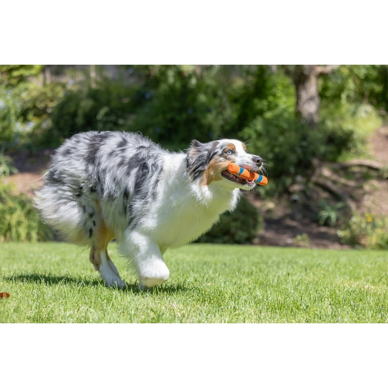 Chuckit! Ultra Fetch Stick Durable Rubber Dog Toy, 12" photo 2