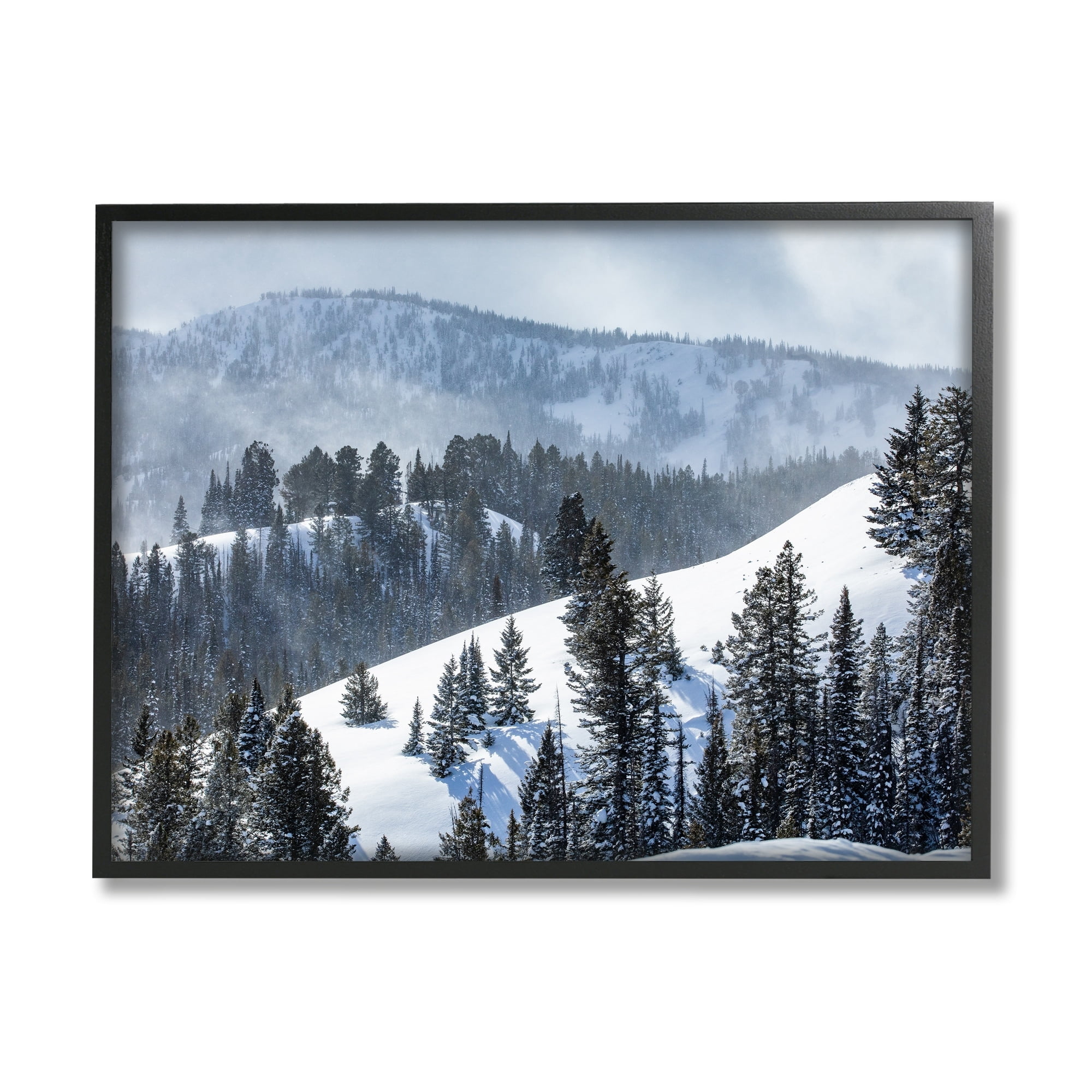 Stupell Industries Quiet Snowy Mountain Slopes Scattered Fir Trees Photograph Black Framed Art Print Wall Art, Design by Steve Smith