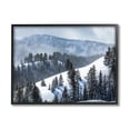 thumbnail image 5 of Stupell Industries Quiet Snowy Mountain Slopes Scattered Fir Trees Photograph Black Framed Art Print Wall Art, Design by Steve Smith, 5 of 5