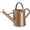 Gold, variant on Metal Watering Can for Outdoor Plants, 1 Gallon Galvanized Steel Watering Can with Removable spout for Outdoor & Indoor Use, Perfect for Garden Flower, Houseplants, Forest Green